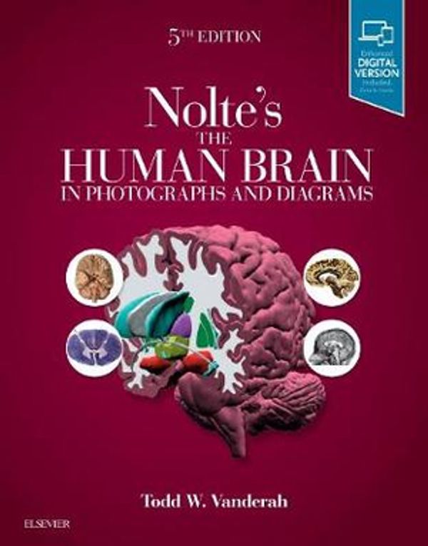 Cover Art for 9780323598163, Nolte's The Human Brain in Photographs and Diagrams, 5e by Todd Vanderah
