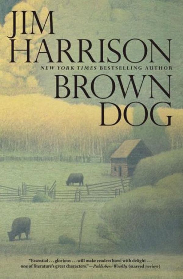 Cover Art for 9780802120113, Brown Dog by Jim Harrison
