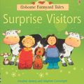 Cover Art for 9780794507848, Surprise Visitors by Heather Amery