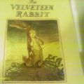 Cover Art for 9780749710552, The Velveteen Rabbit by Margery Williams