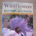 Cover Art for 9781865038742, Wildflowers of Southern Western Australia by MARGARET G CORRICK AND BRUCE A FUHRER