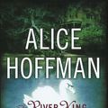 Cover Art for 9781441812650, The River King by Alice Hoffman