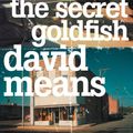Cover Art for 9780007164882, The Secret Goldfish by David Means