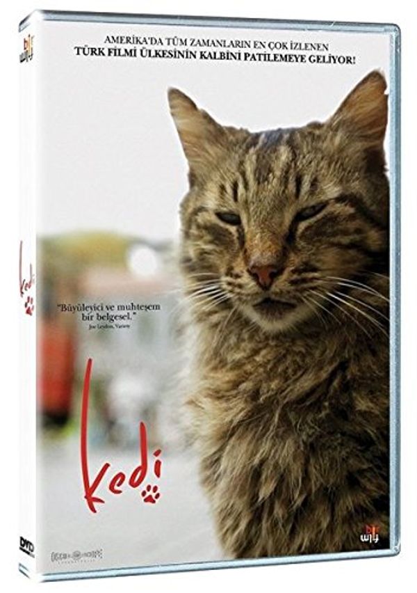 Cover Art for 8680891105446, Kedi by Unknown