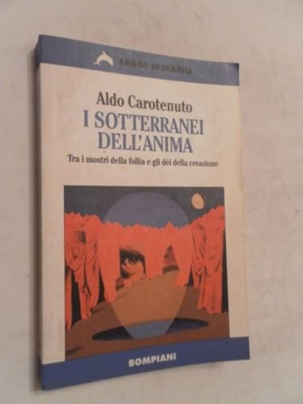 Cover Art for 9788845235122, I sotterranei dell'anima by Aldo Carotenuto