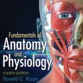 Cover Art for 9781285174150, Fundamentals of Anatomy and Physiology by Donald Rizzo