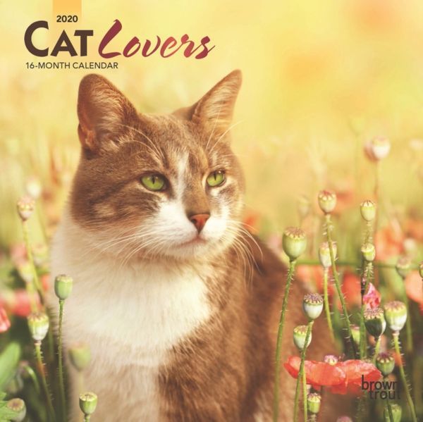Cover Art for 9781975406868, Cat Lovers 2020 Mini Wall Calendar by BrownTrout Publishers Inc.
