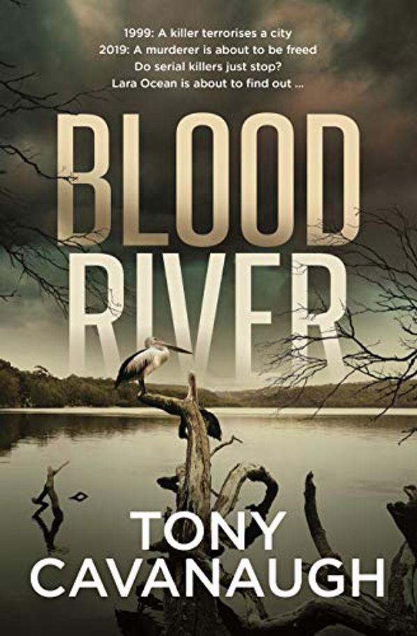 Cover Art for B07KPKB63Q, Blood River by Tony Cavanaugh