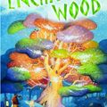 Cover Art for 9780749748005, The Enchanted Wood by Enid Blyton