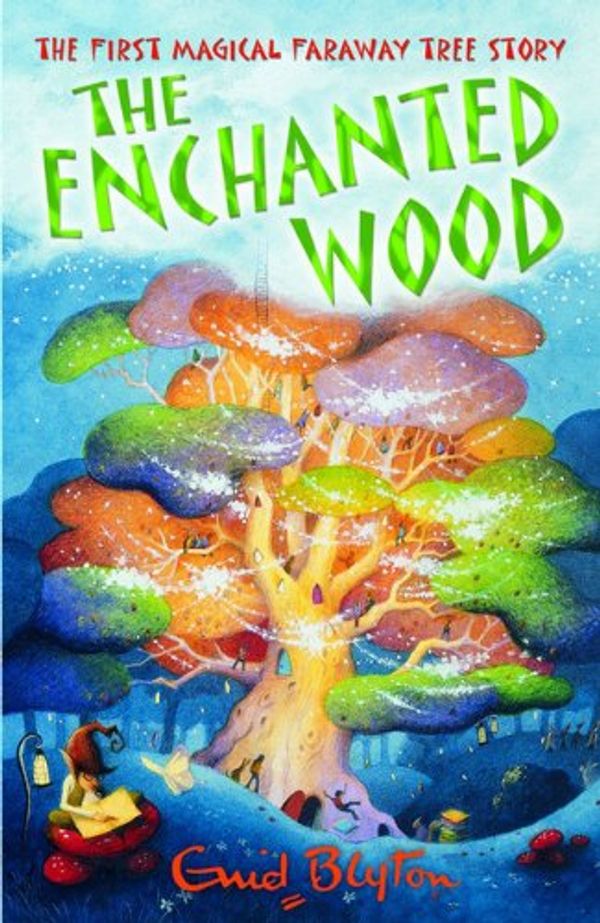 Cover Art for 9780749748005, The Enchanted Wood by Enid Blyton