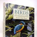 Cover Art for 9781850282457, Birds: An Artist's View by Rob Hume, Terance James Bond