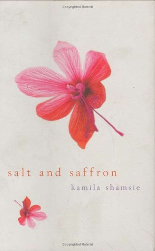 Cover Art for 9781582340937, Salt and Saffron by Kamila Shamsie