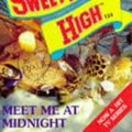 Cover Art for 9780553504477, Meet Me at Midnight by Kate William