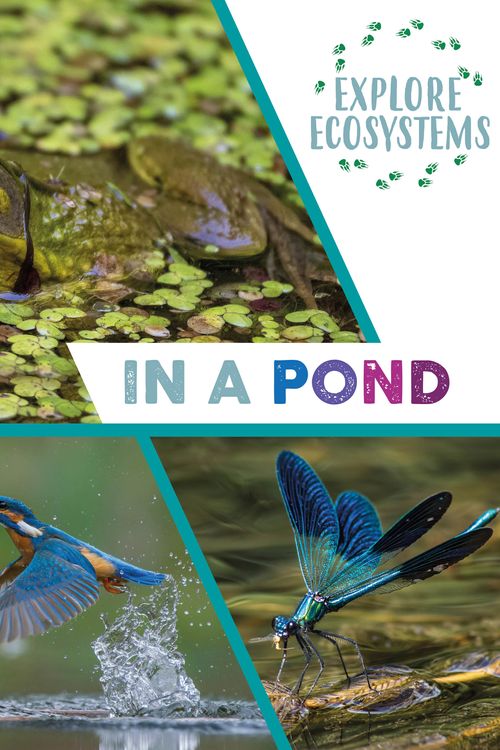 Cover Art for 9781526322463, Explore Ecosystems: In a Pond by Ridley, Sarah