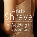 Cover Art for 9780316727785, A Wedding in December by Anita Shreve