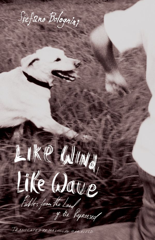 Cover Art for 9781590511794, Like Wind, Like Wave by Bolognini, Stefano