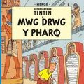 Cover Art for 9781906587024, Mwg Drwg Y Pharo by Herge