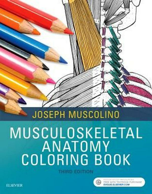 Cover Art for 9780323477314, Musculoskeletal Anatomy Coloring Book 3E by Joseph E. Muscolino