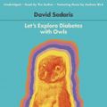 Cover Art for 9781478924456, Let's Explore Diabetes with Owls by David Sedaris