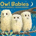 Cover Art for B00AR3GPHW, Owl Babies by Martin Waddell