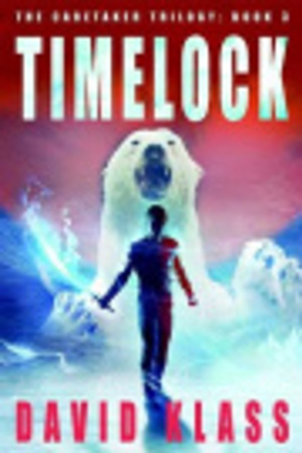 Cover Art for 9780374323097, Timelock by David Klass