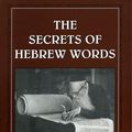 Cover Art for 9781461631835, The Secrets of Hebrew Words by Benjamin Blech