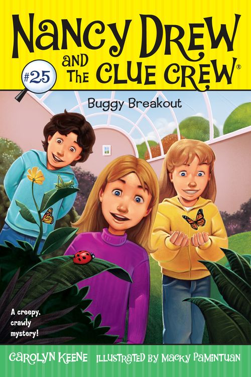 Cover Art for 9781416978145, Buggy Breakout by Carolyn Keene