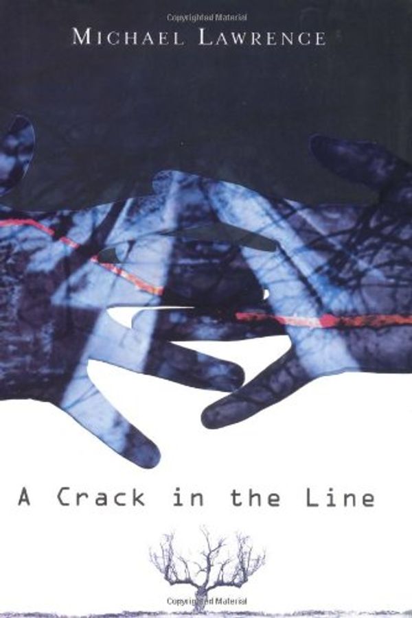 Cover Art for 9780060724788, A Crack in the Line by Michael Lawrence