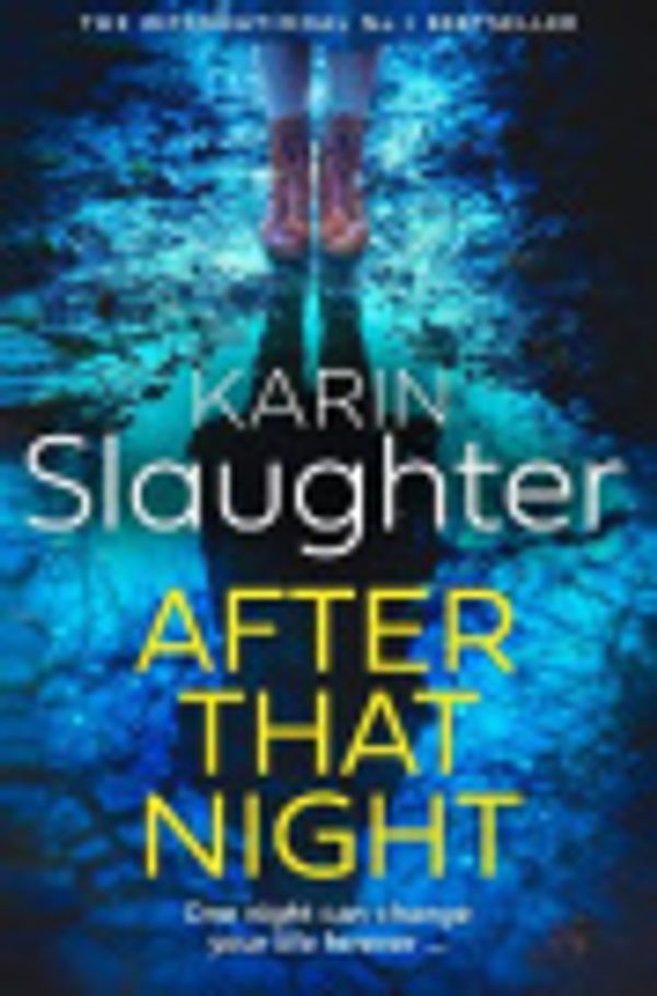 Cover Art for 9780008499419, After That Night by Karin Slaughter