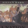 Cover Art for 9780674011694, A Nation under Our Feet by Steven Hahn