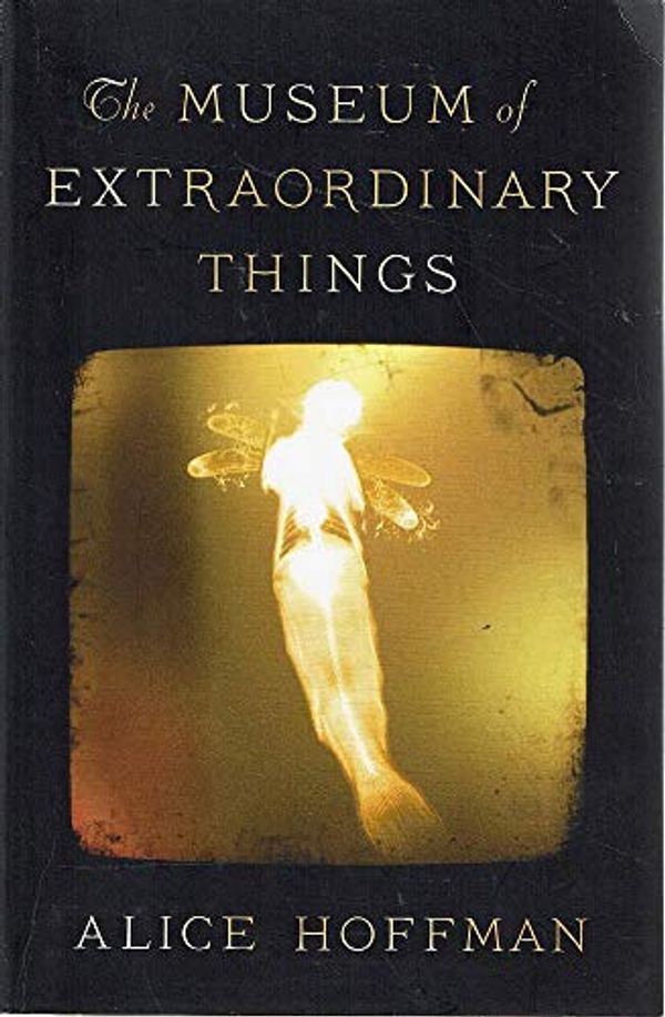 Cover Art for 9781471134807, The Museum of Extraordinary Things by Hoffman