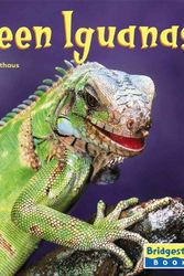 Cover Art for 9780736843294, Green Iguanas by Sally Velthaus