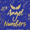 Cover Art for 9781788173506, Angel Numbers: The Message and Meaning Behind 11:11 and Other Number Sequences by Kyle Gray