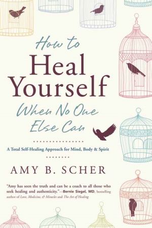 Cover Art for 9780738745541, How to Heal Yourself When No One Else Can: A Total Self-Healing Approach for Mind, Body, and Spirit by Amy B. Scher