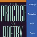 Cover Art for 9780062276070, The Practice of Poetry by Robin Behn