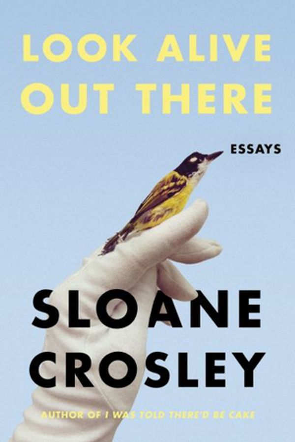 Cover Art for 9780374279844, Look Alive Out There by Sloane Crosley