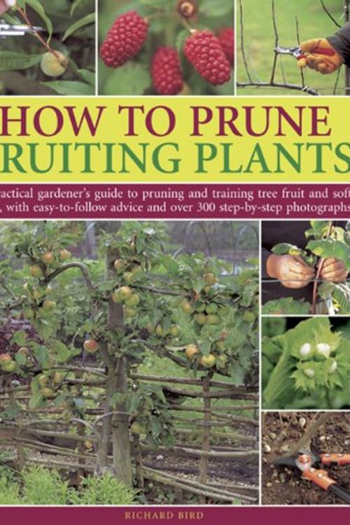 Cover Art for 9781780192703, How to Prune Fruiting Plants by Richard Bird