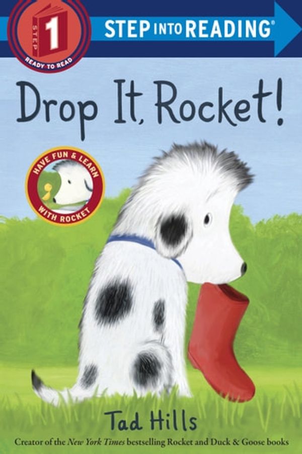 Cover Art for 9780385372497, Drop It, Rocket! by Tad Hills