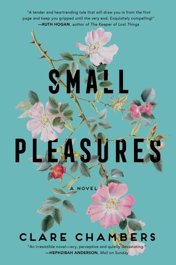 Cover Art for 9780063091009, Small Pleasures by Clare Chambers