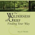 Cover Art for 9781617220159, The Wilderness of Grief by Alan D. Wolfelt