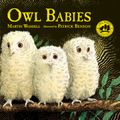 Cover Art for 9780763695194, Owl Babies by Martin Waddell