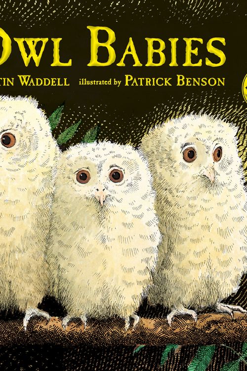 Cover Art for 9780763695194, Owl Babies by Martin Waddell