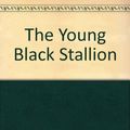 Cover Art for 9780606050517, The Young Black Stallion by Walter Farley