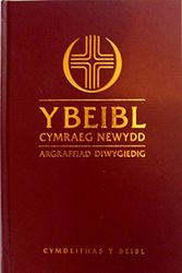 Cover Art for 9780564099252, Y Beibl Cymraeg Newydd by British and Foreign Bible Society