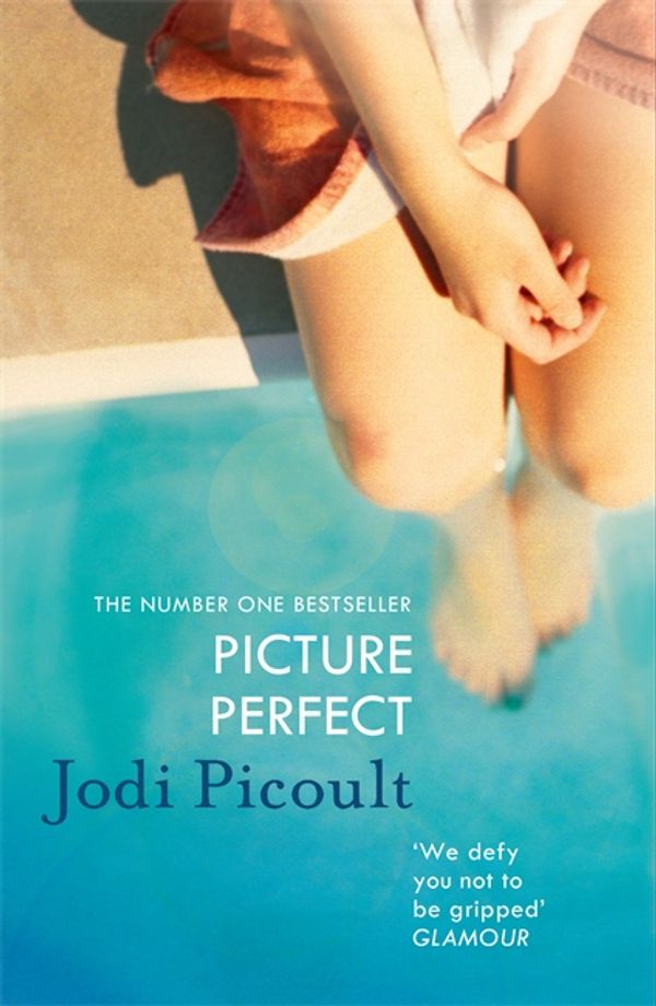 Cover Art for 9781444754391, Picture Perfect by Jodi Picoult