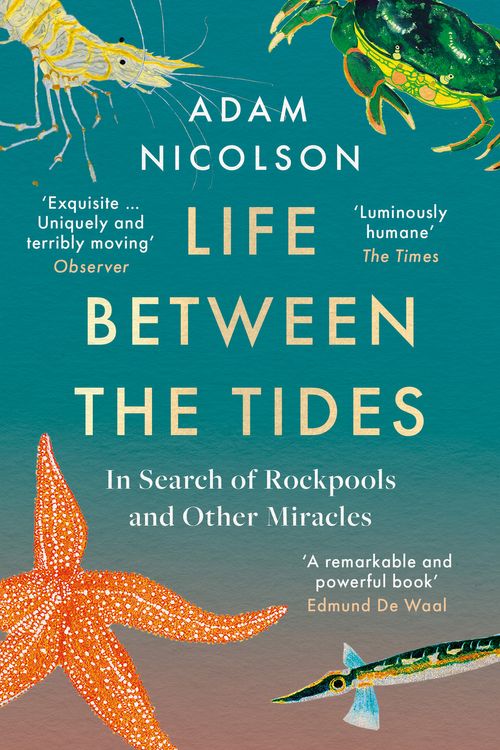 Cover Art for 9780008294816, The Sea is Not Made of Water: Life Between the Tides by Adam Nicolson