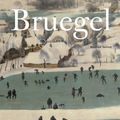 Cover Art for 9781419709951, Bruegel in Detail by Manfred Sellink