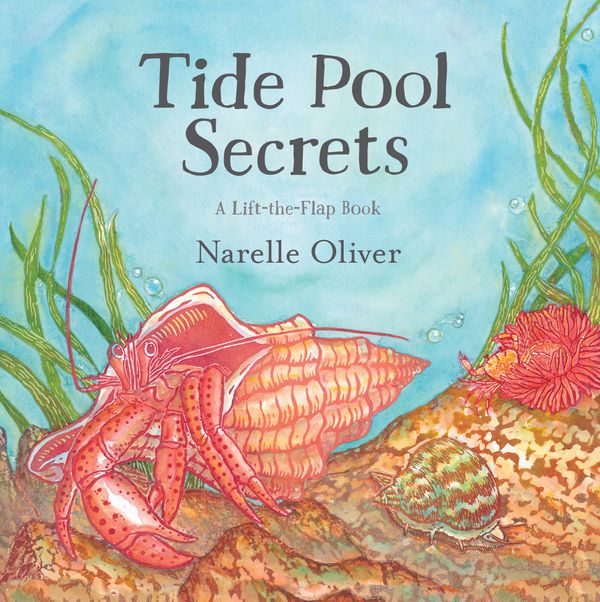 Cover Art for 9780763691592, Tide Pool Secrets by Narelle Oliver