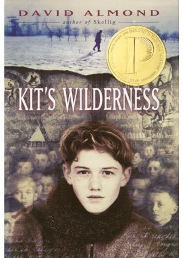 Cover Art for 9780385729895, Kit's Wilderness by David Almond