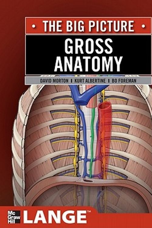 Cover Art for 9780071476720, Gross Anatomy: The Big Picture by David A. Morton